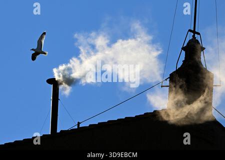 Weißer Rauch ist über der Sixtinischen Kapelle zu sehen und signalisiert, dass die Kardinäle am Donnerstag, den 8. Mai 2025, einen neuen Papst in Vatikanstadt gewählt haben. Nach zwei Tagen wählte das Kardinalkonklave Kardinal Robert Francis Provost, der als Papst Leo XIV. Bekannt sein wird, zum 267. Obersten Papst nach dem Tod von Papst Franziskus am Ostermontag. Provost wird der erste amerikanische Papst sein. Foto: Stefano Spaziani/UPI Stockfoto