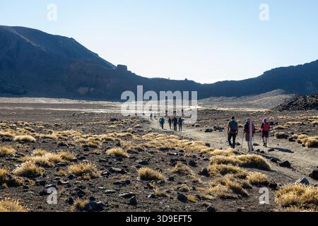 Wanderer überqueren einen Kraterboden am Tongariro Alpine Crossing im Tongariro National Park, Nordinsel, Neuseeland Stockfoto