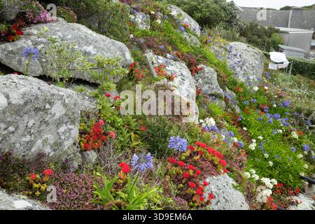 Rock Garden in Hugh Town auf St. Mary's.. Isles of Scilly, Cornwall, Großbritannien. Stockfoto