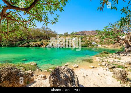 Wadi Darbat in Dhofar, Oman: Türkisfarbene Bäche und gestufte Wasserfälle, die einen ruhigen See inmitten üppiger grüner Vegetation unter einem leuchtend blauen Himmel säumen Stockfoto