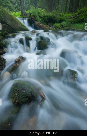 Blick auf rauschendes Wasser, das über moosbedeckte Felsen in einem üppigen, grünen Wald stürzt, ein ruhiger Zufluchtsort in die Natur, Jamnik, Zilina Region, Slovaki Stockfoto