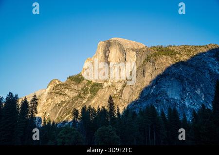Half Dome, ein Granitgipfel, wird teilweise von Sonnenlicht beleuchtet und wirft einen großen Schatten über seine majestätische Fassade und den umgebenden dichten Wald. Stockfoto