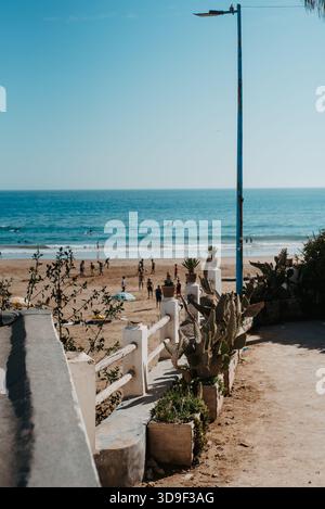 Kaktuspflanzen mit Blick auf den Strand in Taghazout, Marokko Stockfoto