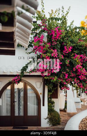 Bougainvillea über weiß getünchtem Haus in Binibeca Vell, Menorca Stockfoto