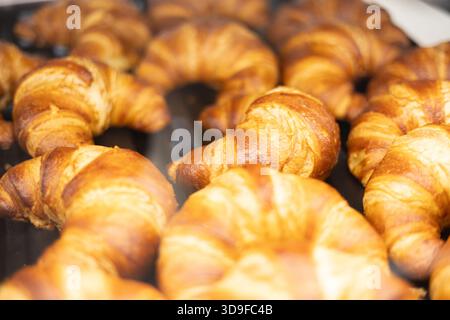 Goldene, frisch gebackene Croissants in einer warmen Backstube, die ihre knusprigen Schichten und die reichhaltige, butterweiche Textur hervorheben. Stockfoto