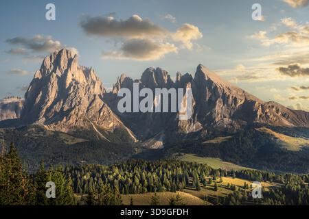 Dramatischer Blick auf den Langkofel, Sasso Piatto, Plattkofel, Berge in den Dolomiten, Sudtirol, Italien von der Seiser Alm, Seise Stockfoto