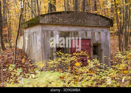 Ein verlassener deutscher Bunker aus dem Zweiten Weltkrieg steht im Herbst in einem Wald. Die Betonkonstruktion, die jetzt mit Graffiti bedeckt ist, diente während des Krieges als Unterschlupf. Stockfoto