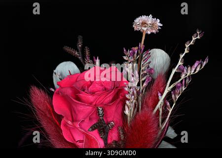 Eine leuchtende rote Rose steht in diesem Blumenarrangement im Mittelpunkt. Getrocknete Blüten und federnde Akzente verleihen Textur und Tiefe und schaffen ein markantes Kontrastmittel Stockfoto