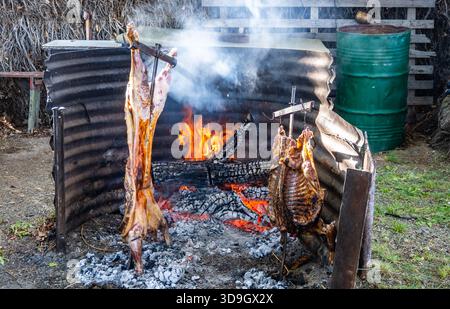 Lämmer auf offenem Feuer Grill, typische Küche auf den Steppen im Süden Patagoniens. Santa Cruz, Argentinien. Stockfoto