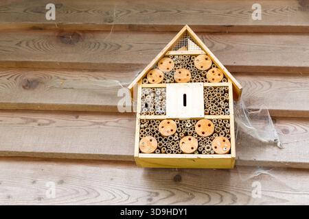 Ein Insektenhotel an einer Holzwand. Biene Habitat. Biodiversität. Eco Garden. Stockfoto