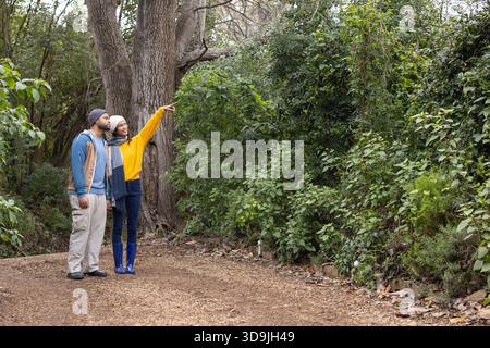 Verschiedene Paare wandern auf einem Holzspäne-Pfad im Wald, während sie auf große Eiche zeigen, Kopierraum Stockfoto