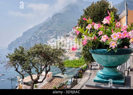 Blumentopf auf Balkon mit Blick auf Positano, Italien Stockfoto