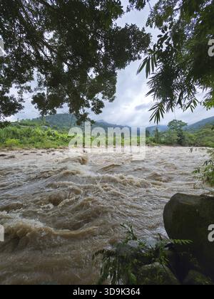 Wilde, wütende Flussflut mit schlammigem braunem Wasser, das durch tropische Waldlandschaft fließt. Die starke Natur der Strömung strömt durch den üppigen grünen Dschungel Stockfoto