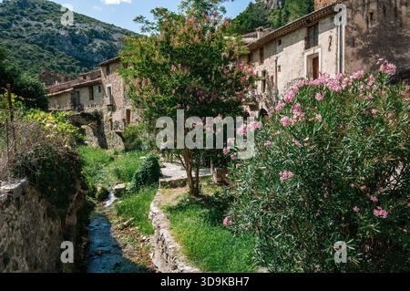 Blühende Pflanzen und Bäume entlang eines kleinen Baches im mittelalterlichen Dorf Saint-Guilhem-le-Désert, Hérault, Okzitanien, Frankreich. Stockfoto