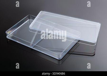 Rechteckige Petrischale. Ein Laborgefäß aus Glas für Proben. Ein Einweg-Laborbehälter für Laborproben. Stockfoto