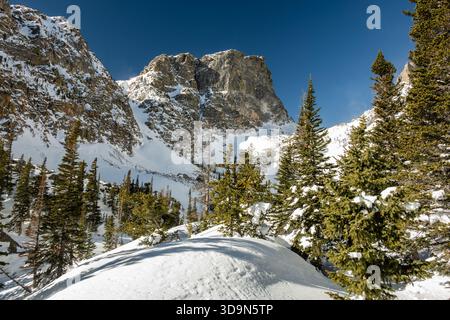 Green Pine Trees stehen auf den schneebedeckten Hügeln unterhalb des Hallett Peak im Rocky Mountain Nationalpark Stockfoto