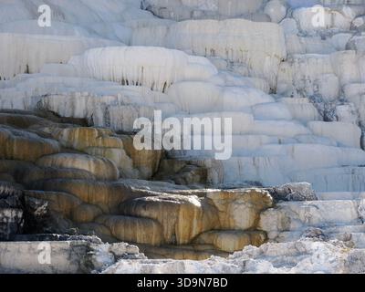 Nahaufnahme der komplexen, weiß- und orangenen Mineralformationen, die durch geothermische Aktivität in Mammoth Hot Springs entstanden sind. Stockfoto