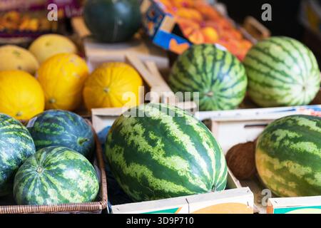 ChatGPT sagte: Lebendige Präsentation frischer Wassermelonen und Melonen auf einem lokalen Bauernmarkt, in Holzkisten angeordnet, die Bio-Sommerfrüchte darstellen Stockfoto