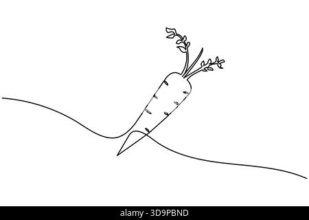 Durchgehende Linienkunst einer Karotte mit grünen Blättern auf weißem Hintergrund Gemüsewurzelgemüse Stock Vektor