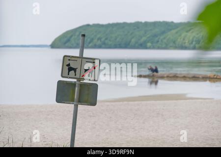 Am Strand in Solitary steht ein Schild an der Grenze zwischen Hundestrand und Badestrand mit einem Hinweis über Hunde erlaubt und das Verbot von Hunden Stockfoto