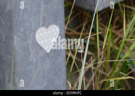 Ein verwitterter Papier-Herzaufkleber ist an einem Metallpfosten befestigt. Der Aufkleber weist Alterserscheinungen und leichte Abschälungen auf. Im Hintergrund fügt grünes Gras einen hinzu Stockfoto