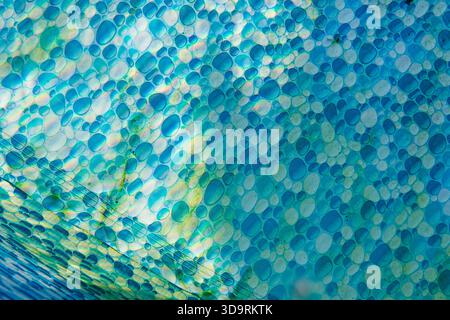 Detaillierte Nahaufnahme einer Poolwand mit blauem Blasenmuster, die Algenwachstum und -Verfärbung zeigt. Die abstrakte Textur kombiniert organisch und geometrisch Stockfoto