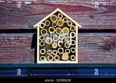 Ein kleiner hölzerner Rahmen in Form eines Hauses ist gefüllt mit abgeschälten Stabstücken. Das luftige Gitter schafft Hohlräume für nistende Insekten und Bestäuber. Das t Stockfoto