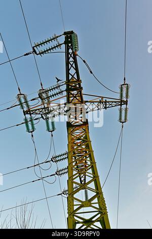 Eine aufragende gelbe Übertragungsstruktur hält mehrere Kabel hoch oben. Ein Vogel kommt bei klarem Tageslicht vorbei und sorgt für eine flüchtige Bewegung Stockfoto