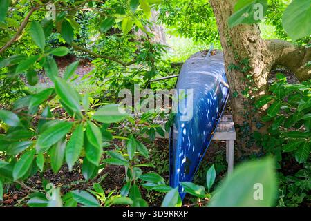 Ein kleines blaues Kajak liegt kopfüber auf einem einfachen Gestell neben einem Baum, der Rumpf kurbelt sauber, die Gurte halten ihn sicher, die Szene ist ruhig und bereit, Wasser Stockfoto