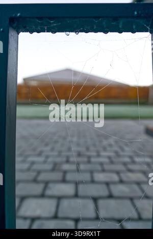 Eine Nahansicht eines Spinnennetzes auf einem Metalltor, mit einem verschwommenen Hintergrund eines Hauses und Kopfsteinpflaster. Das Internet blitzt mit Tautropfen, Showc Stockfoto