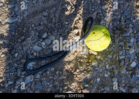 Ein knallgelber Tennisball mit Hundespielzeug, der auf einem Kiesboden liegt und daneben eine schwarze Leine aufgerollt ist. Die Szene zeigt eine Mischung aus natürlichen Texturen und c Stockfoto