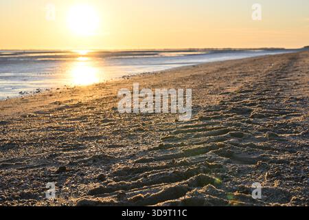 Der Strand in der Nähe von Wyk auf Foehr Island bei Sonnenuntergang. Traktorspuren im Sand führen zum Horizont. Die Sonne taucht das Wasser und das Ufer in ein warmes Gold Stockfoto