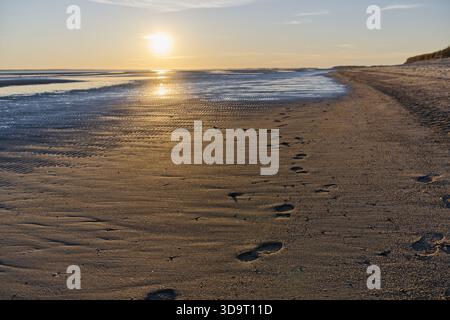 Der Strand in der Nähe von Wyk auf Foehr Island bei Sonnenuntergang. Fußspuren im Sand führen zum Horizont. Die Sonne taucht das Wasser und das Ufer in ein warmes goldenes Glo Stockfoto