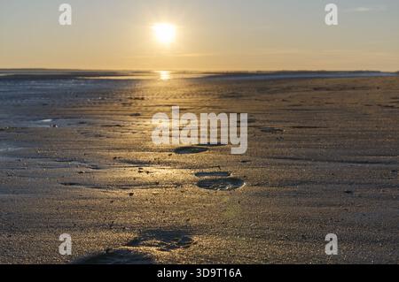 Der Strand in der Nähe von Wyk auf Foehr Island bei Sonnenuntergang mit frisch gemachten Fußspuren im Sand führt zum Horizont. Die Sonne taucht das Wasser und das Ufer in A Stockfoto