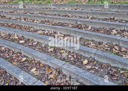 Eine Reihe von Steinstufen, die mit gefallenen Blättern bedeckt sind und eine natürliche Herbstszene darstellen. Die Stufen sind versetzt angeordnet und führen nach oben. Stockfoto