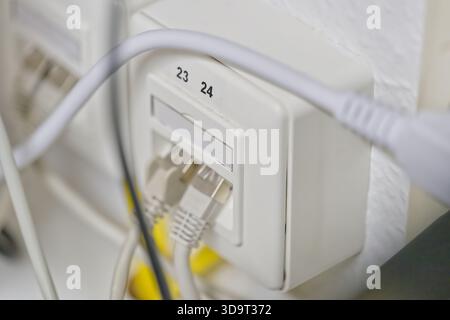 Nahaufnahme einer Netzsteckdose mit mehreren angeschlossenen Ethernet-Kabeln, gekennzeichnet mit den Nummern 23 und 24, an einer weißen Wand. Stockfoto