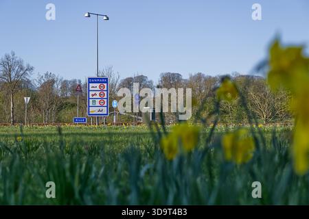 Ein Straßenschild, das die Einfahrt nach Dänemark anzeigt, umgeben von grünem Gras und gelben Blumen im Vordergrund. Das Schild zeigt verschiedene Verkehrssymbole Stockfoto