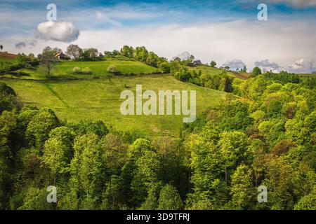Tolle Landschaft mit grünem Wald am Hang in Siebenbürgen, Rumänien, Europa Stockfoto