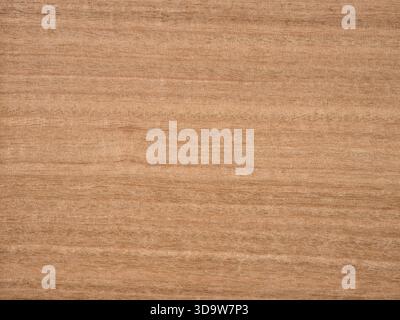 Elegantes gestreiftes Eukalyptusfurnier mit Naturholzmustern Stockfoto