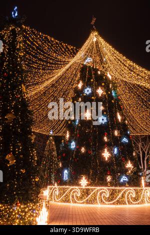 Beleuchtete Weihnachtsbäume im Freien auf einem festlichen nächtlichen Stadtplatz schaffen eine magische Weihnachtsszene. Stockfoto