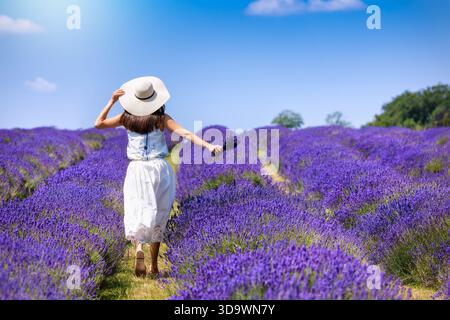 Eine glückliche Frau in einem weißen Kleid spaziert über ein farbenfrohes Levanderfeld in voller Blüte während der Sommerzeit Stockfoto