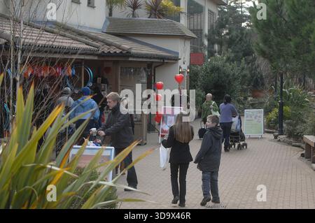 Eine Familie im Center Parcs, Elveden Forest, in Suffolk in der Nähe von Thetford. Es wurde 1989 auf einem 400 Hektar großen Pinienwald eröffnet und bietet Unterkünfte zur Selbstverpflegung für bis zu 8 Gäste, darunter auch barrierefreie, haustierfreundliche und Baumhäuser. Das subtropische Schwimmparadies hat Pools, Rutschen und einen faulen Fluss. Zu den Aktivitäten gehören Radfahren, Bogenschießen, Töpferei, Wassersport auf dem See, Hochseile, Spa-Behandlungen, Minigolf und Indoor-Klettern. Zu den Einrichtungen gehören Restaurants, Cafés, ein Geschäft, Aqua Sana Spa und Kinderclubs. Kurzurlaube und einwöchige Aufenthalte sind das ganze Jahr über verfügbar. Stockfoto