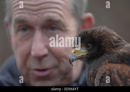 Eine Familie im Center Parcs, Elveden Forest, in Suffolk in der Nähe von Thetford. Es wurde 1989 auf einem 400 Hektar großen Pinienwald eröffnet und bietet Unterkünfte zur Selbstverpflegung für bis zu 8 Gäste, darunter auch barrierefreie, haustierfreundliche und Baumhäuser. Das subtropische Schwimmparadies hat Pools, Rutschen und einen faulen Fluss. Zu den Aktivitäten gehören Radfahren, Bogenschießen, Töpferei, Wassersport auf dem See, Hochseile, Spa-Behandlungen, Minigolf und Indoor-Klettern. Zu den Einrichtungen gehören Restaurants, Cafés, ein Geschäft, Aqua Sana Spa und Kinderclubs. Kurzurlaube und einwöchige Aufenthalte sind das ganze Jahr über verfügbar. Stockfoto