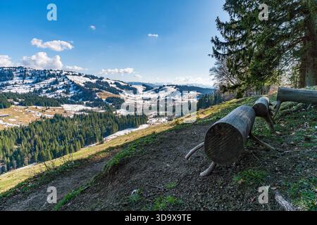 Ein ruhiger, landschaftlich reizvoller Wanderweg durch die Allgauer Alpen bei Oberstaufen, der sich durch eine üppige Landschaft schlängelt, umgeben von hoch aufragenden Bäumen und maj Stockfoto