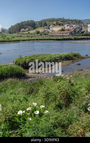 Blick auf den Fluss Traba und die Mündung Muros und Noya in der Stadt Noya (Noia), Provinz A Coruna, Galicien, Nordwesten Spaniens Stockfoto