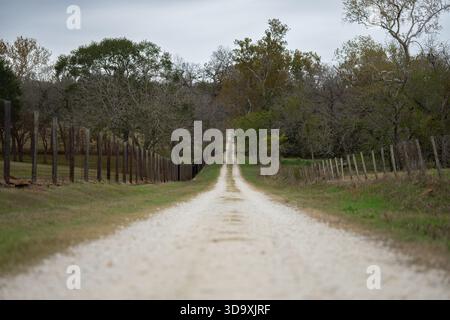 Lange Schotterstraße durch umzäunte Landschaft, gesäumt von Bäumen in einer ländlichen Landschaft. Stockfoto