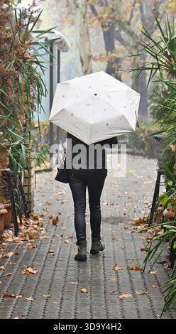 Jerewan Armenien 12.7,2025. Eine Frau geht einen Weg mit einem Regenschirm entlang. Der Schirm ist weiß und hat ein Blattmuster. Die Frau trägt einen Schwarzen Stockfoto