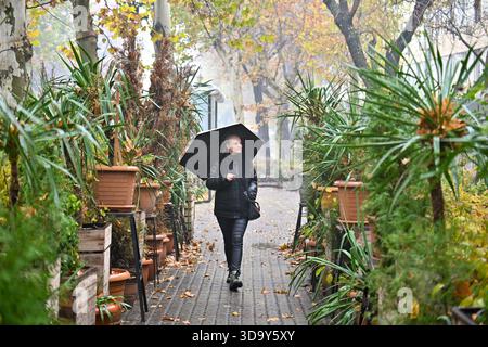 Jerewan Armenien 12.7,2025. Eine Frau läuft einen Weg in einem Garten mit einem schwarzen Schirm. Der Himmel ist bewölkt und die Blätter auf den Bäumen fallen Stockfoto