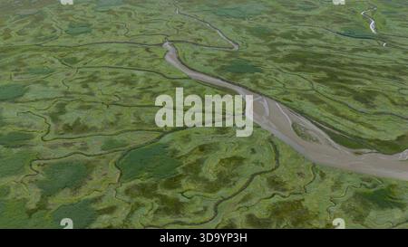 Ertrunkenes Land von Saeftinghe Aerial Top Down Landscape. Stockfoto
