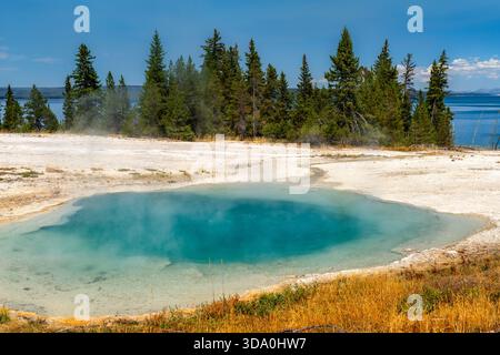 Das blaue Thermalwasser der Surging Spring liegt in der Nähe des Yellowstone Lake in Wyoming, USA. Geothermischer Pool mit weißem Sinterrand und Kiefern im UNESCO-Weltkulturerbe-Nationalpark Stockfoto